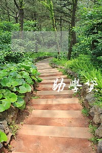 助学贷款22期逾期 助学贷款22期逾期