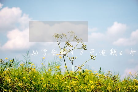 助学贷款30元逾期6个月 助学贷款30元逾期6个月