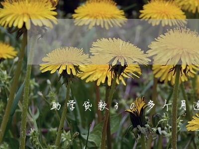 助学贷款30多个月逾期