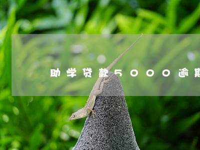 助学贷款5000逾期10年 助学贷款5000逾期10年