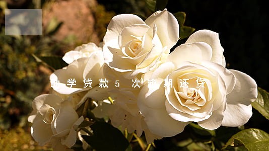 助学贷款5次逾期还贷 助学贷款5次逾期还贷