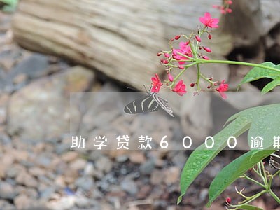 助学贷款6000逾期罚息多少 助学贷款6000逾期罚息多少