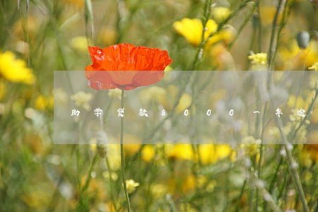 助学贷款8000一年逾期罚息 助学贷款8000一年逾期罚息