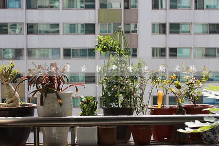 助学贷款严重逾期老赖 助学贷款严重逾期老赖
