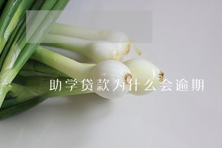 助学贷款为什么会逾期 助学贷款为什么会逾期