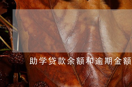 助学贷款余额和逾期金额 助学贷款余额和逾期金额