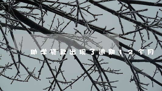 助学贷款出现了逾期12个月 助学贷款出现了逾期12个月