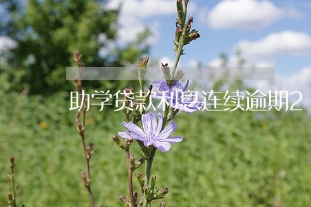 助学贷款利息连续逾期2次 助学贷款利息连续逾期2次