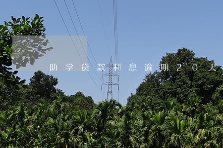 助学贷款利息逾期20天 助学贷款利息逾期20天