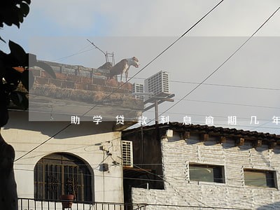 助学贷款利息逾期几年 助学贷款利息逾期几年