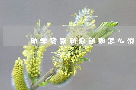 助学贷款利息逾期怎么消除 助学贷款利息逾期怎么消除