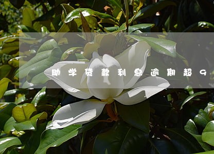 助学贷款利息逾期超90天 助学贷款利息逾期超90天