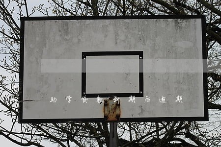 助学贷款到期后逾期 助学贷款到期后逾期