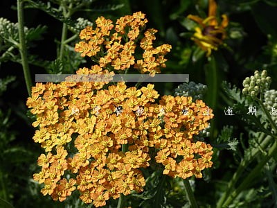 助学贷款发生过逾期怎么办 助学贷款发生过逾期怎么办