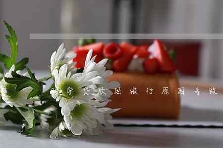 助学贷款因银行原因导致逾期 助学贷款因银行原因导致逾期