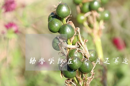 助学贷款在12月还算逾期吗 助学贷款在12月还算逾期吗
