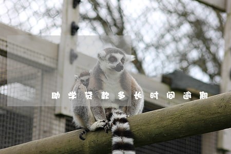 助学贷款多长时间逾期 助学贷款多长时间逾期