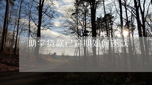 助学贷款已逾期如何还款 助学贷款已逾期如何还款