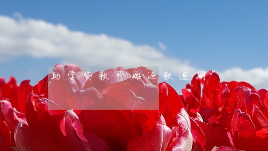 助学贷款开始还款逾期 助学贷款开始还款逾期
