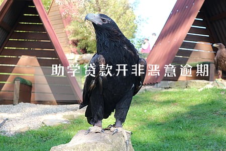 助学贷款开非恶意逾期 助学贷款开非恶意逾期