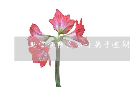 助学贷款怎么才属于逾期呢 助学贷款怎么才属于逾期呢