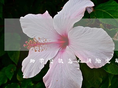 助学贷款怎么消除逾期