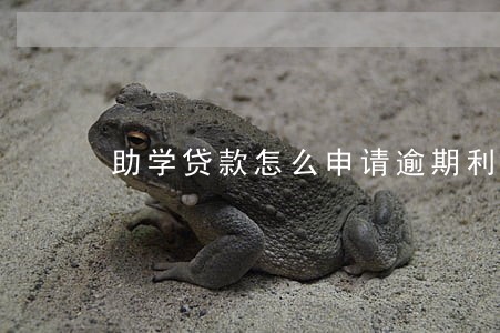 助学贷款怎么申请逾期利息 助学贷款怎么申请逾期利息