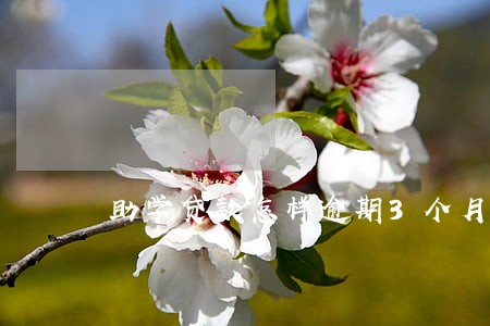 助学贷款怎样逾期3个月 助学贷款怎样逾期3个月