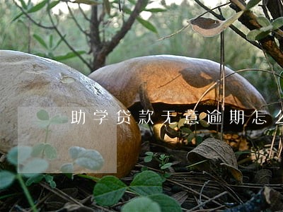 助学贷款无意逾期怎么办 助学贷款无意逾期怎么办