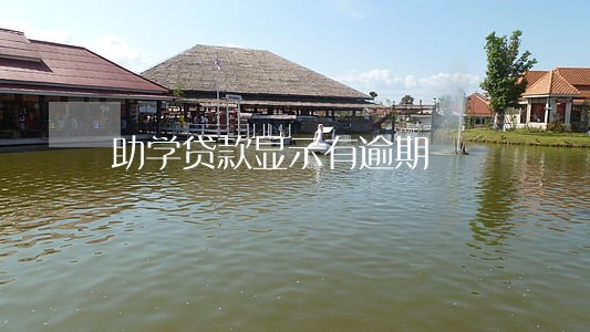 助学贷款显示有逾期 助学贷款显示有逾期