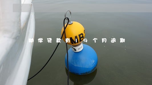 助学贷款有19个月逾期 助学贷款有19个月逾期