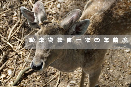 助学贷款有一次四年前逾期 助学贷款有一次四年前逾期