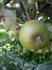 助学贷款有一次逾期记录 助学贷款有一次逾期记录