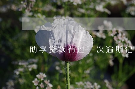 助学贷款有过一次逾期记录 助学贷款有过一次逾期记录