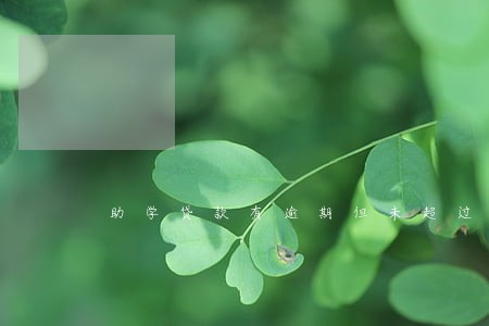 助学贷款有逾期但未超过90天 助学贷款有逾期但未超过90天