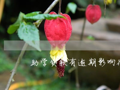 助学贷款有逾期影响征信吗 助学贷款有逾期影响征信吗