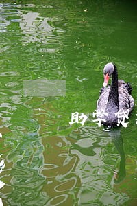 助学贷款有逾期能办房贷么 助学贷款有逾期能办房贷么