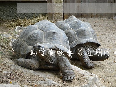 助学贷款未写逾期时间 助学贷款未写逾期时间