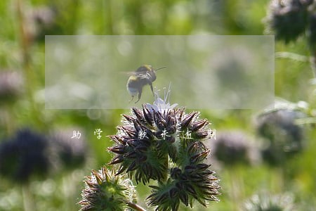 助学贷款未逾期 助学贷款未逾期