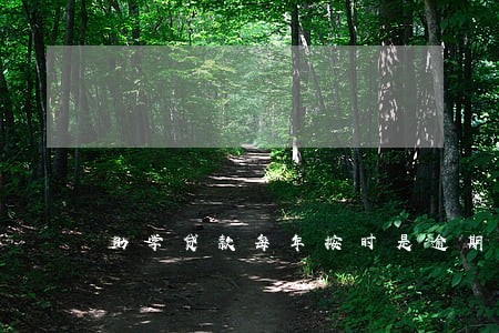 助学贷款每年按时是逾期吗 助学贷款每年按时是逾期吗