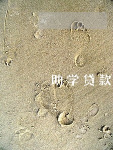 助学贷款没有账单导致逾期 助学贷款没有账单导致逾期
