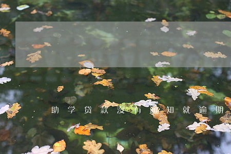 助学贷款没有通知就逾期了 助学贷款没有通知就逾期了