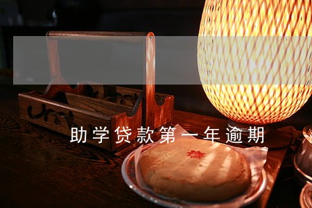 助学贷款第一年逾期 助学贷款第一年逾期