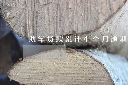 助学贷款累计4个月逾期 助学贷款累计4个月逾期