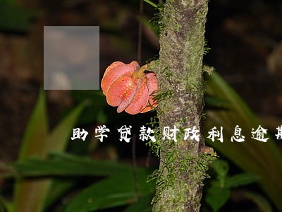 助学贷款财政利息逾期征信 助学贷款财政利息逾期征信