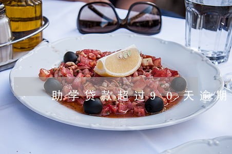 助学贷款超过90天逾期 助学贷款超过90天逾期
