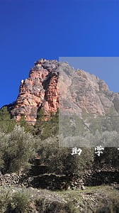 助学贷款还款忘记逾期