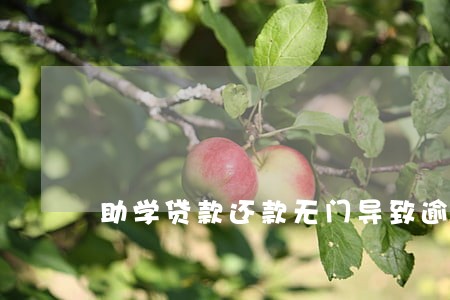 助学贷款还款无门导致逾期 助学贷款还款无门导致逾期