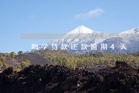 助学贷款还款逾期4天 助学贷款还款逾期4天