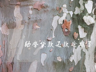 助学贷款还款逾期了 助学贷款还款逾期了